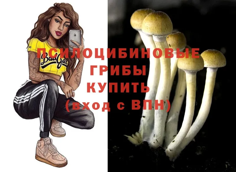 Галлюциногенные грибы MAGIC MUSHROOMS  Калач 